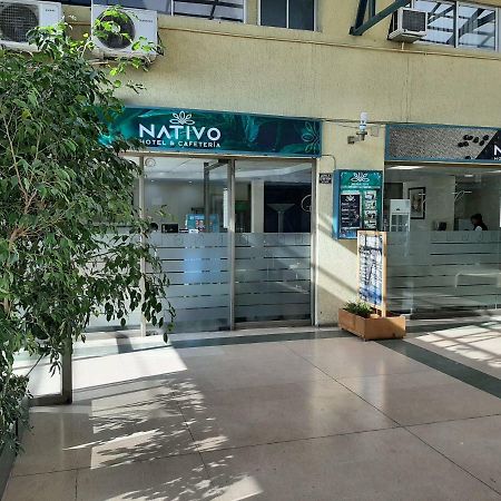 Nativo Hotel Y Cafeteria Талька Экстерьер фото
