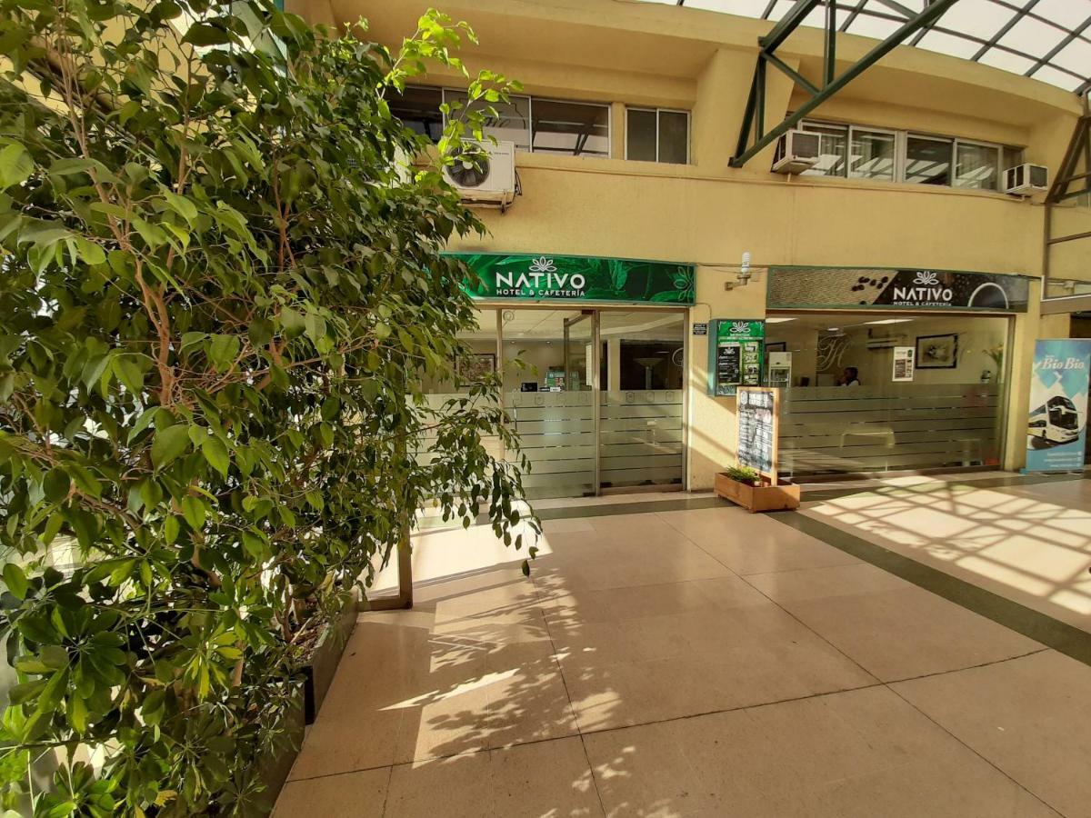 Nativo Hotel Y Cafeteria Талька Экстерьер фото