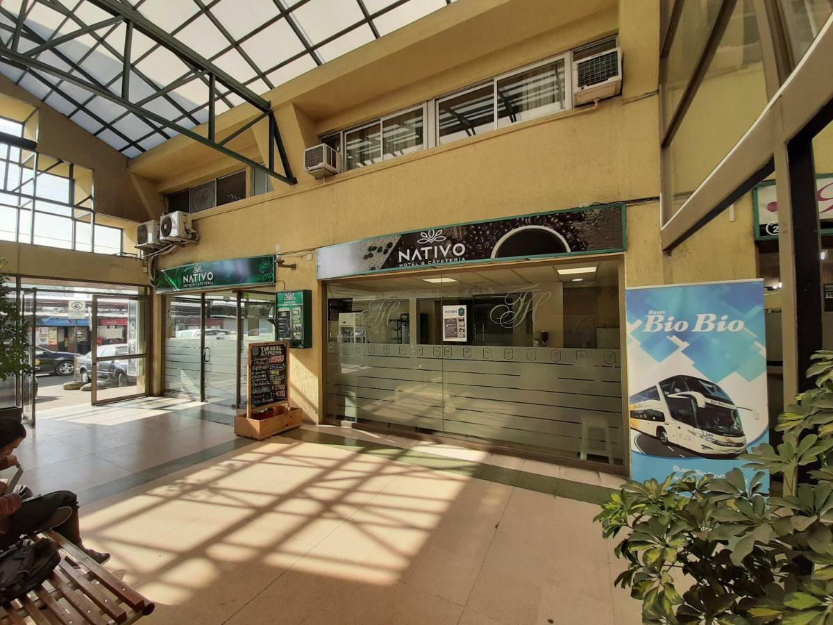 Nativo Hotel Y Cafeteria Талька Экстерьер фото
